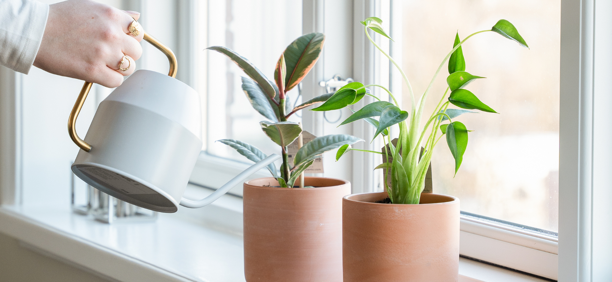 Super nemme planter