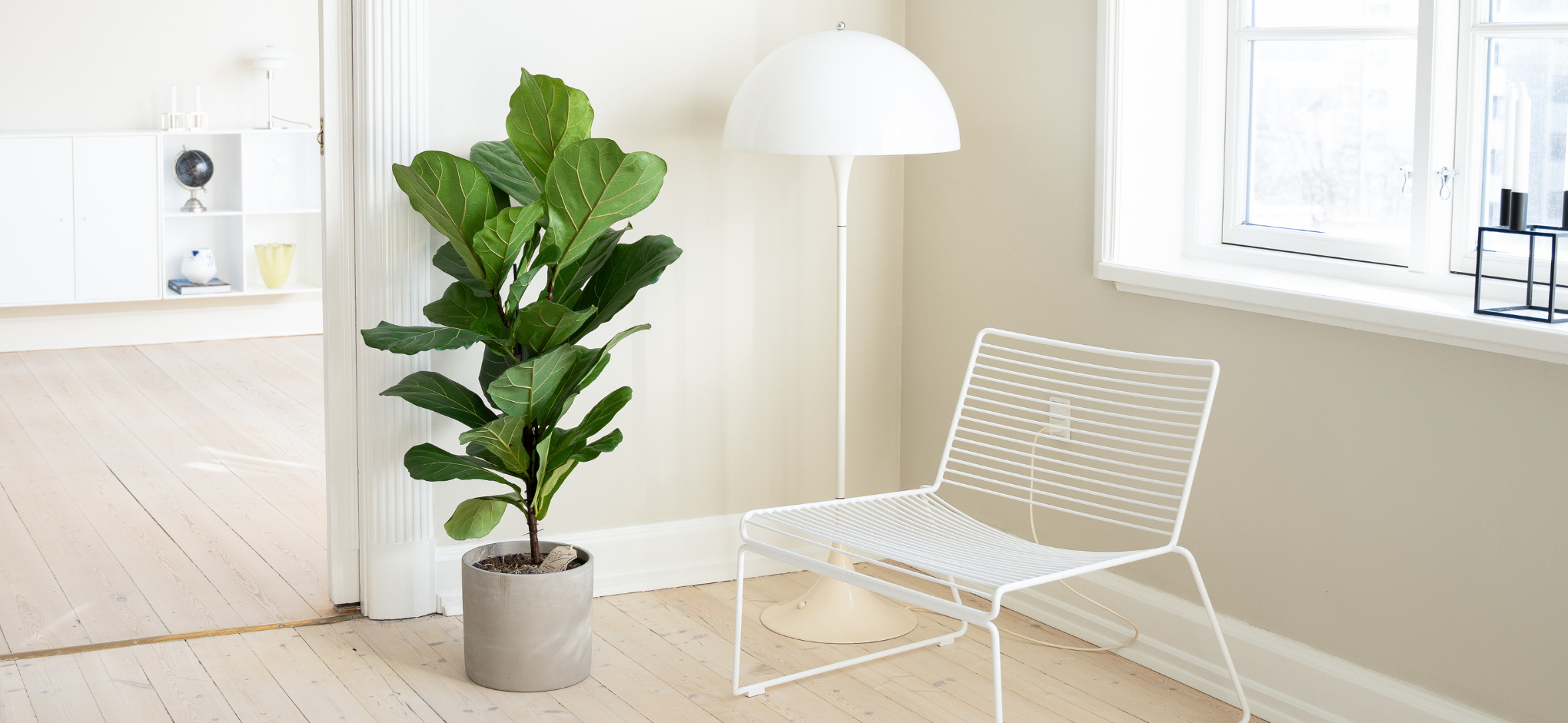 Planter 24cm