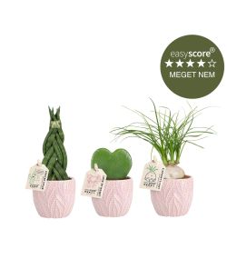 Feminin plantepakke - mini, inkl. lyserøde skjulere