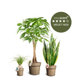 Nem plantepakke, Stor