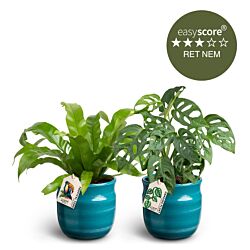 Den tyrkise plantepakke - mellem, inkl. skjulere
