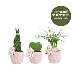 Feminin plantepakke - mini, inkl. lyserøde skjulere