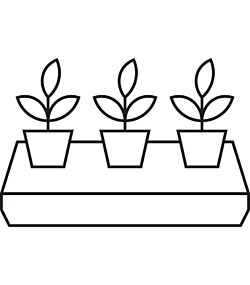 Planter til kontoret 6,9, & 11cm potte
