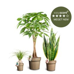 Nem plantepakke, Stor