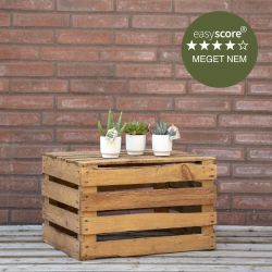 Succulentpakke mini, inkl. hvide skjulere