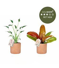 Terracotta plantepakke - Mellem, inkl. skjulere