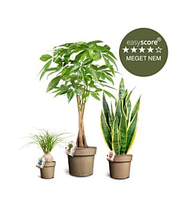 Nem plantepakke, Stor